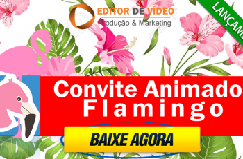 Convite Animado Flamingo